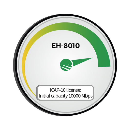 Advanced Initial capacity 10,000 Mbps (10Gbps)