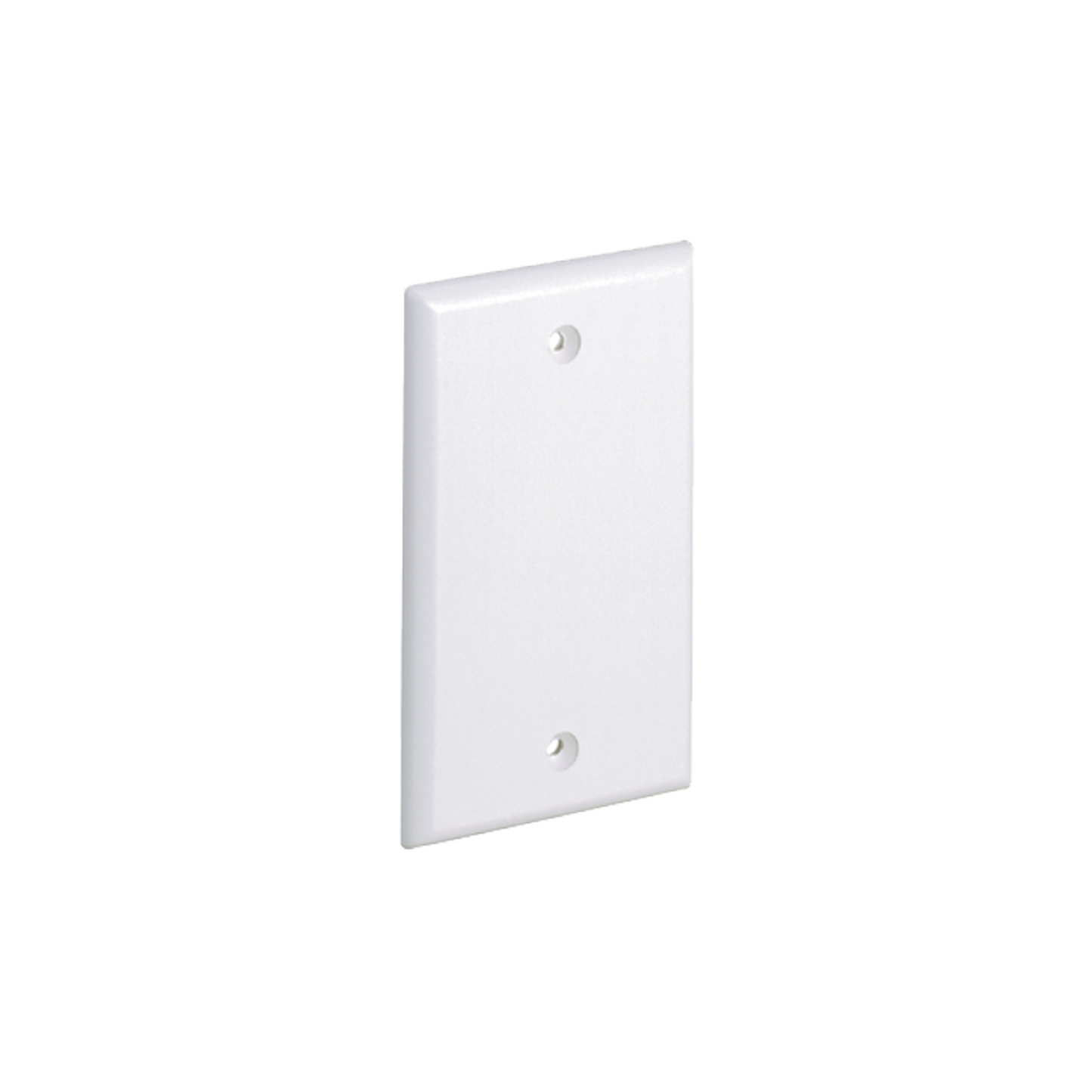 Affordable White Color, Universal, Blank Face Plate