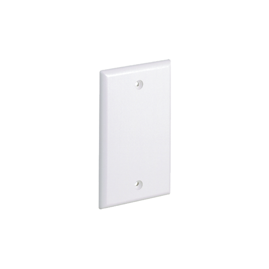 Affordable White Color, Universal, Blank Face Plate