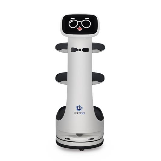 Top Quality Flexible and Interactive Delivery Robot T8LS